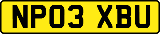NP03XBU
