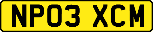 NP03XCM