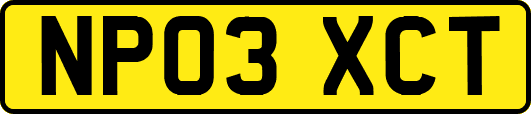 NP03XCT