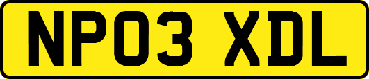 NP03XDL