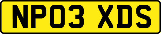 NP03XDS