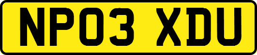 NP03XDU