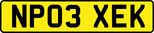 NP03XEK