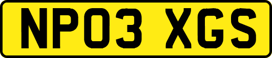 NP03XGS