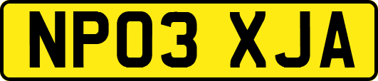 NP03XJA