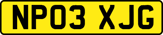 NP03XJG