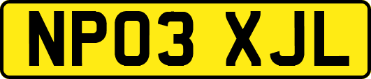 NP03XJL