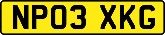 NP03XKG