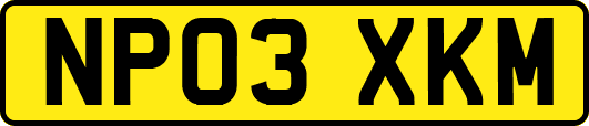 NP03XKM