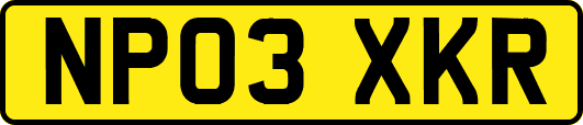 NP03XKR