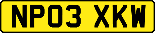 NP03XKW