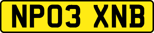 NP03XNB