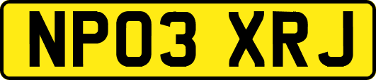 NP03XRJ