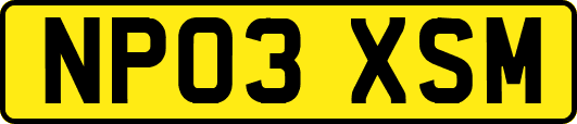 NP03XSM