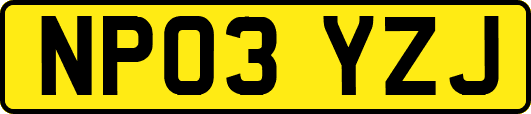 NP03YZJ