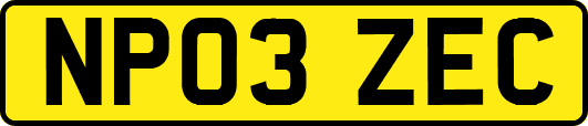 NP03ZEC