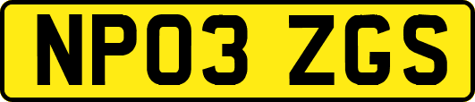NP03ZGS