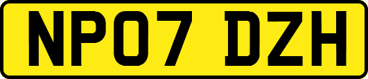 NP07DZH