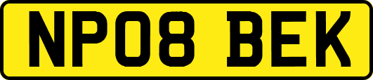 NP08BEK
