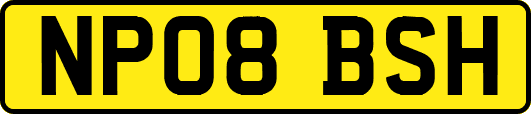 NP08BSH