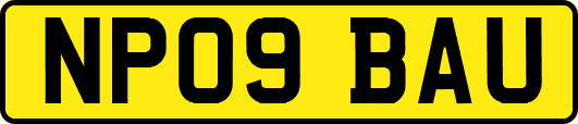 NP09BAU