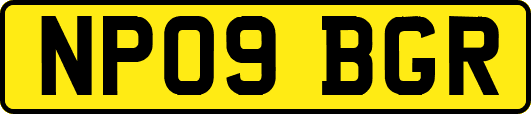 NP09BGR