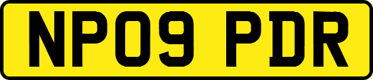 NP09PDR
