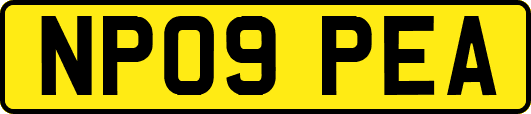 NP09PEA