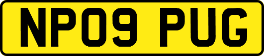 NP09PUG