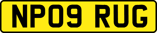 NP09RUG