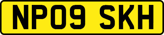 NP09SKH