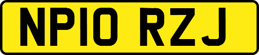 NP10RZJ