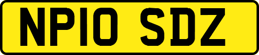 NP10SDZ