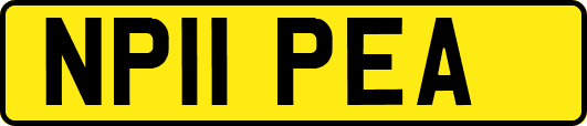 NP11PEA