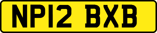 NP12BXB
