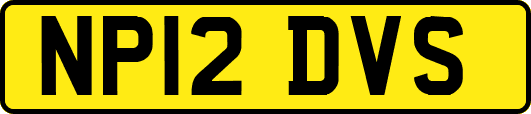 NP12DVS