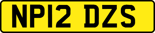 NP12DZS