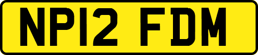 NP12FDM