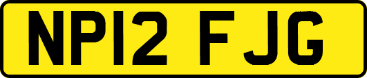 NP12FJG