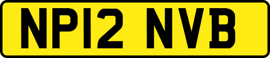 NP12NVB
