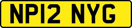 NP12NYG