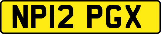NP12PGX