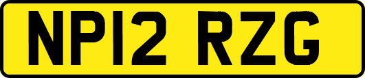 NP12RZG