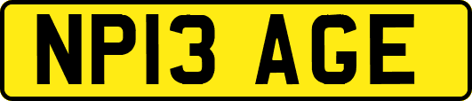 NP13AGE