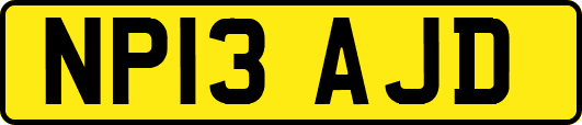 NP13AJD