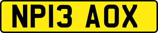 NP13AOX