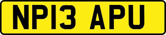 NP13APU