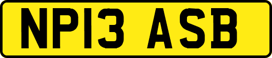 NP13ASB