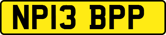 NP13BPP