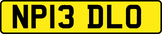NP13DLO